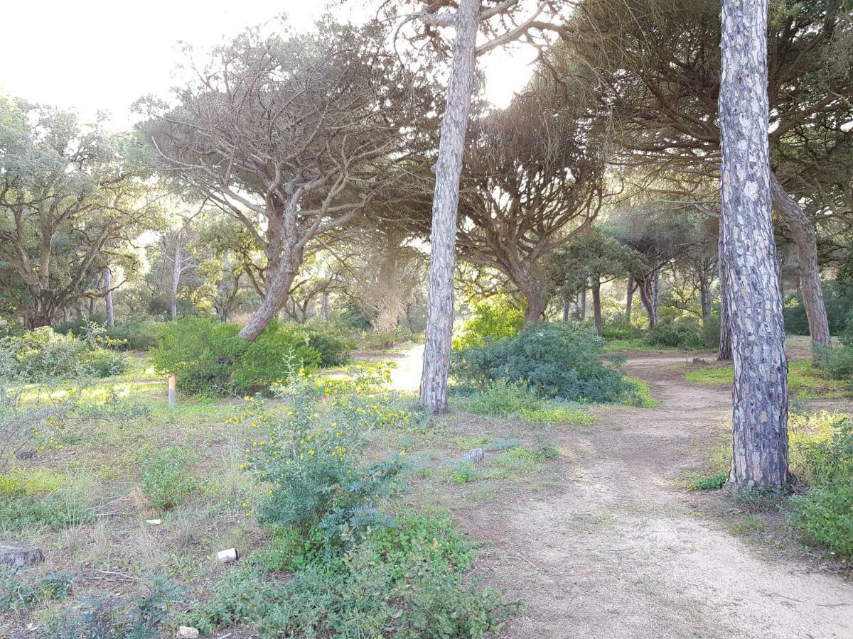 Apartamento Pinar Del Atlantico-La Barrosa Chiclana de la Frontera Εξωτερικό φωτογραφία